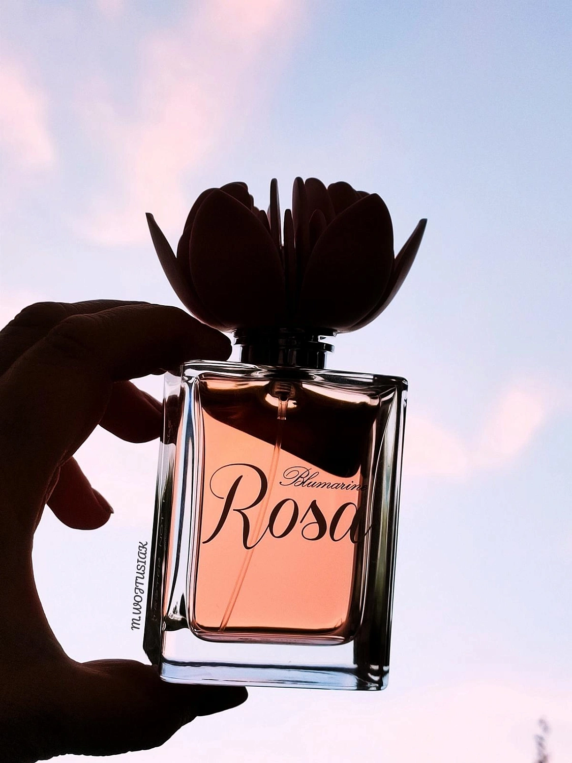 Blumarine Rosa