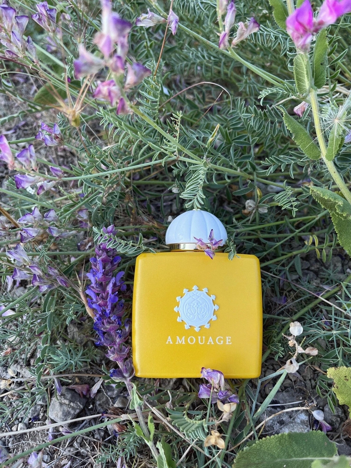 Amouage Sunshine