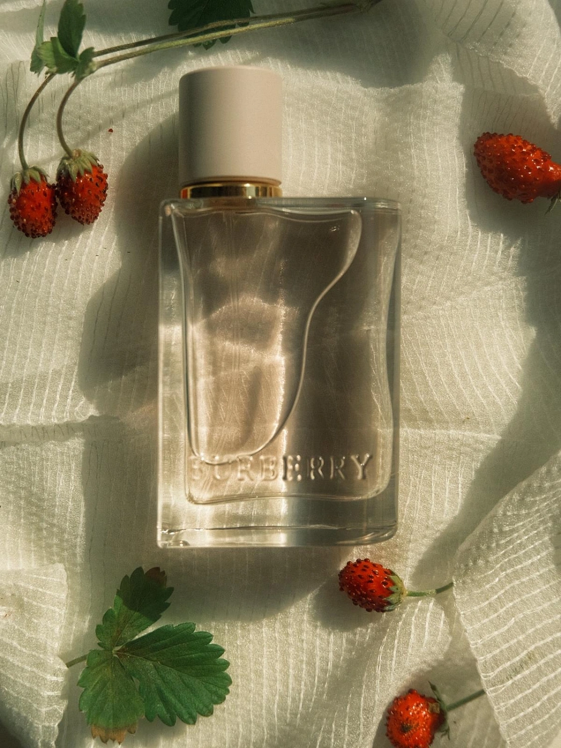 Burberry Her