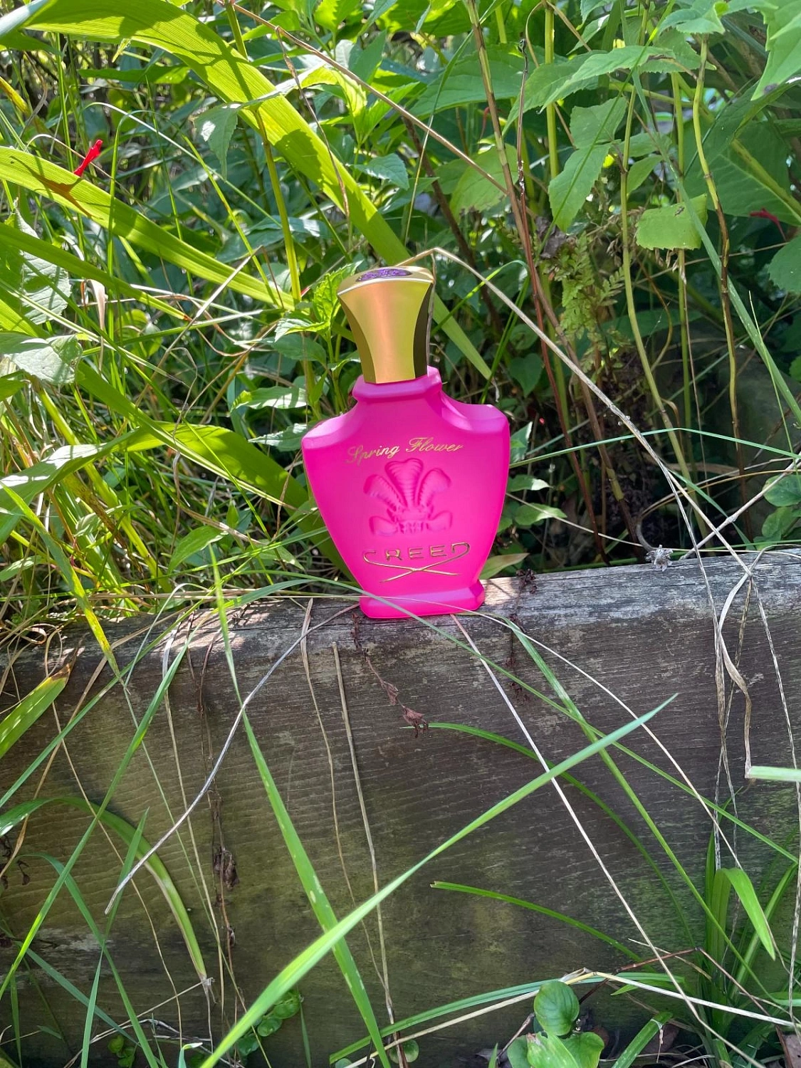 Creed Spring Flower