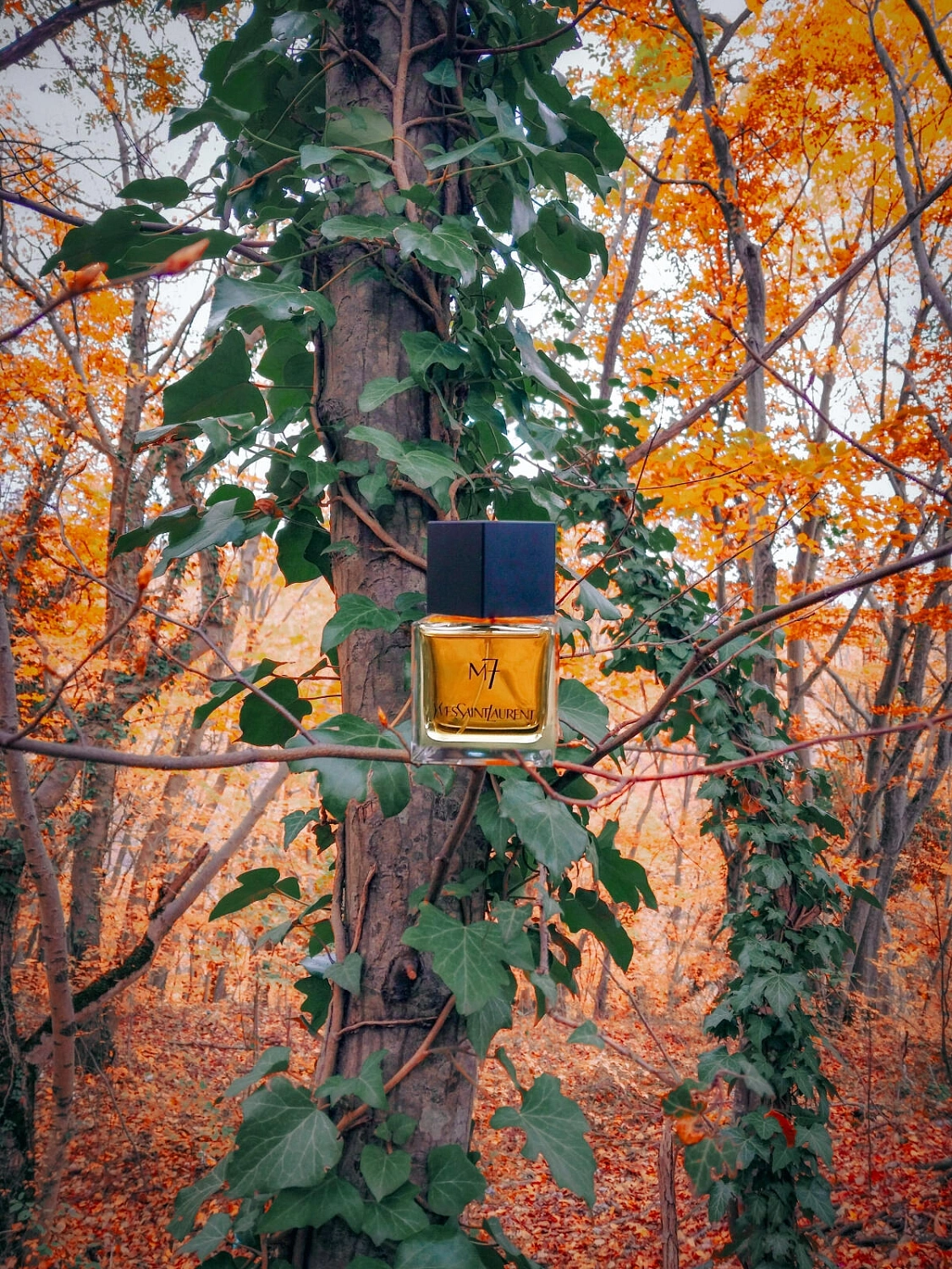 Yves Saint Laurent M7