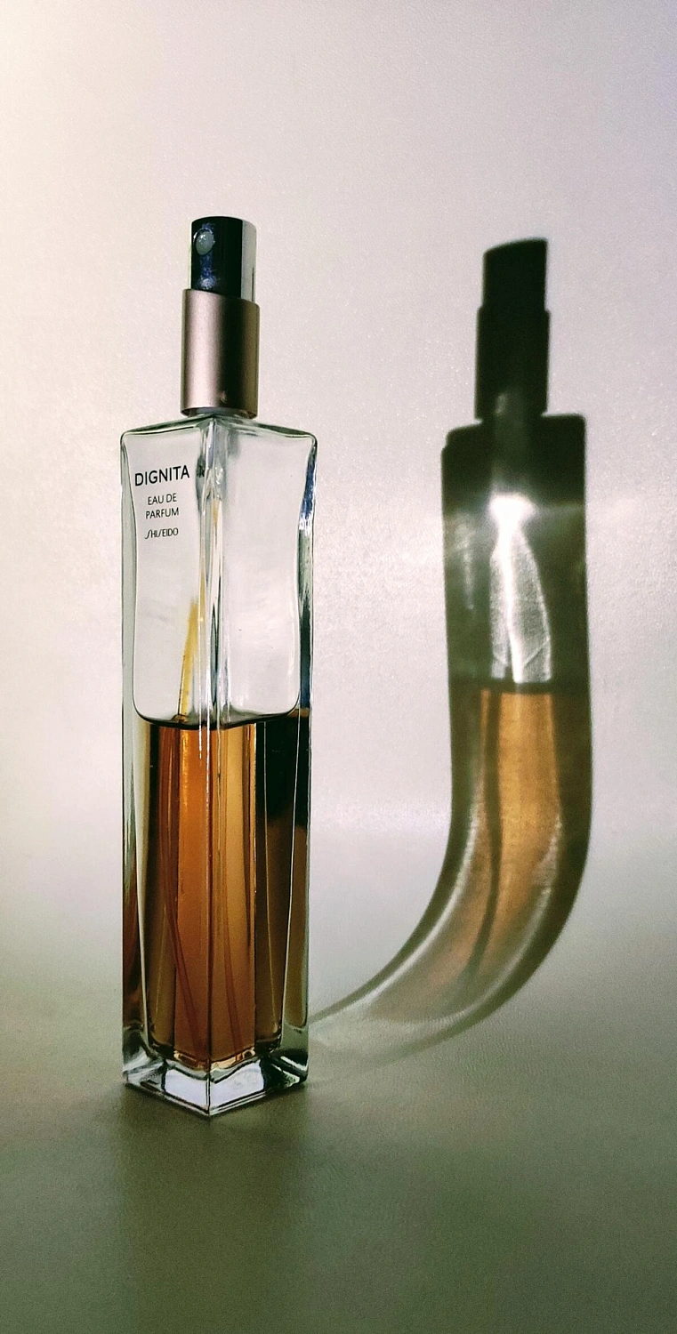 Shiseido Dignita