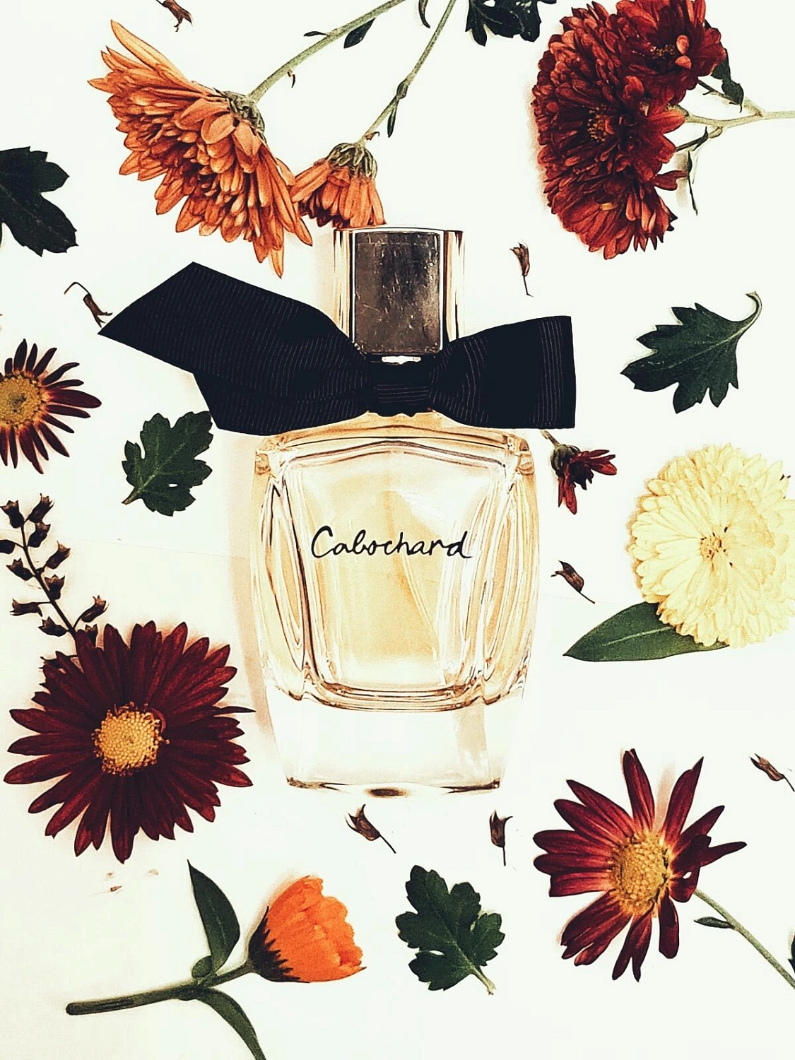Grès Cabochard Eau de Toilette 2019