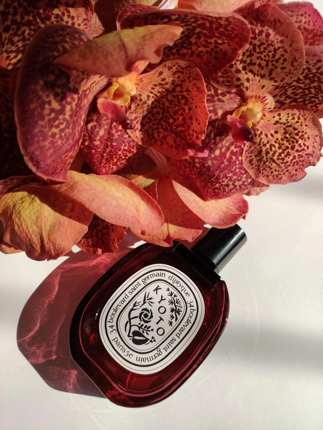 Diptyque Kyoto