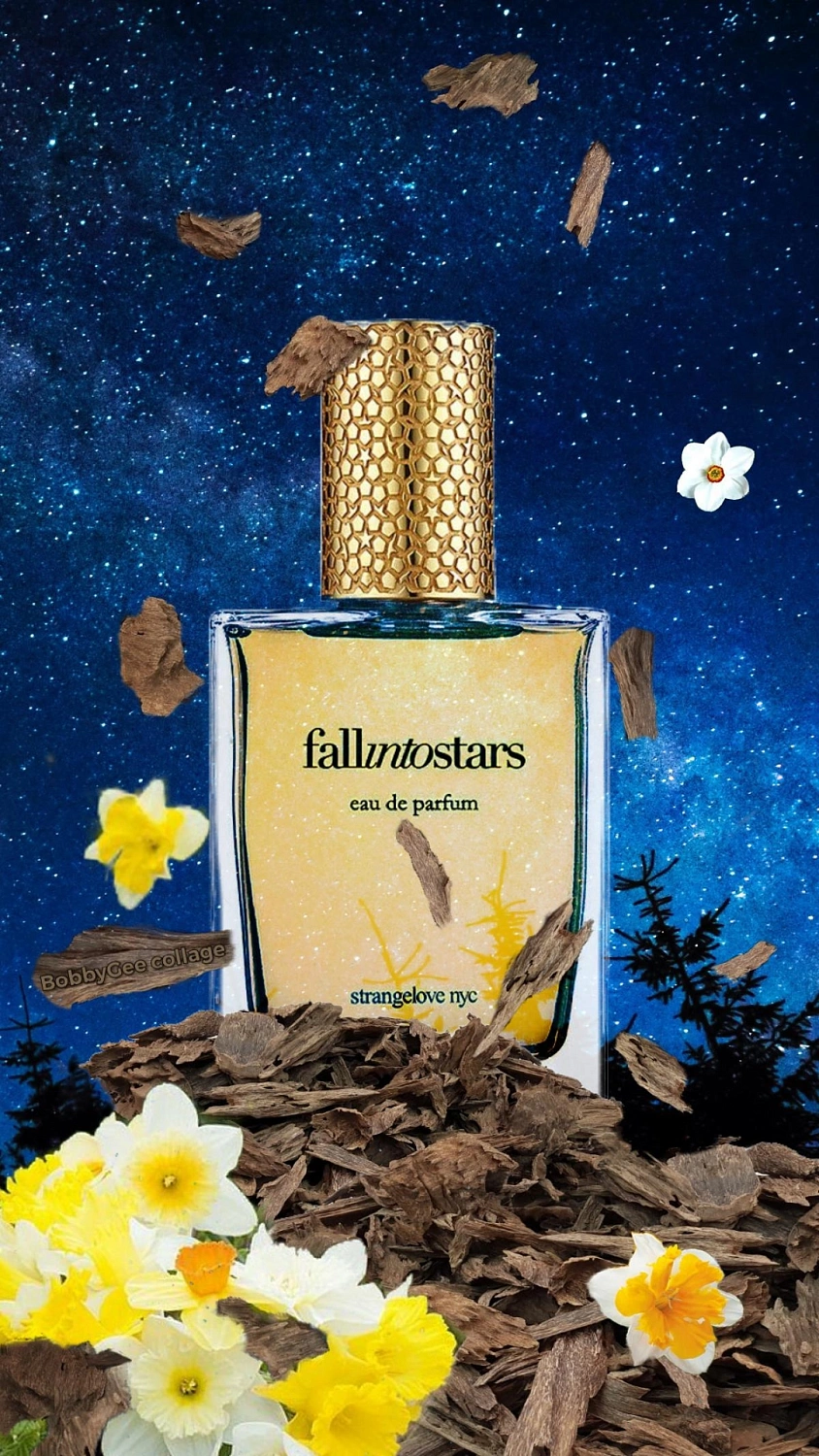 strangelove nyc Fall Into Stars