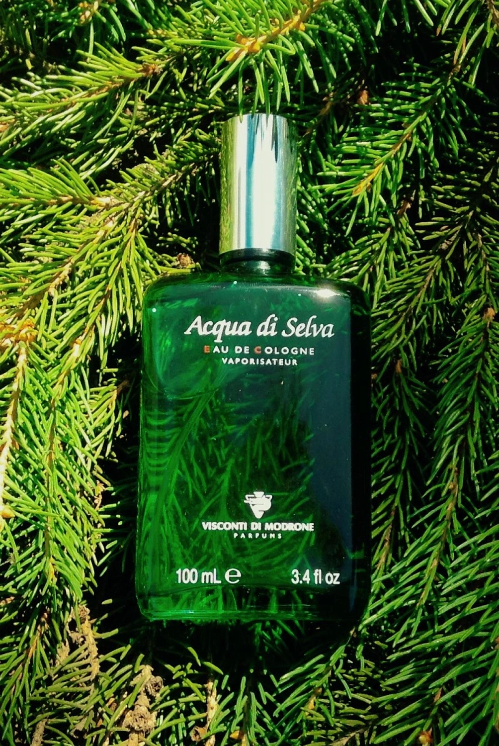 Visconti di Modrone Acqua di Selva