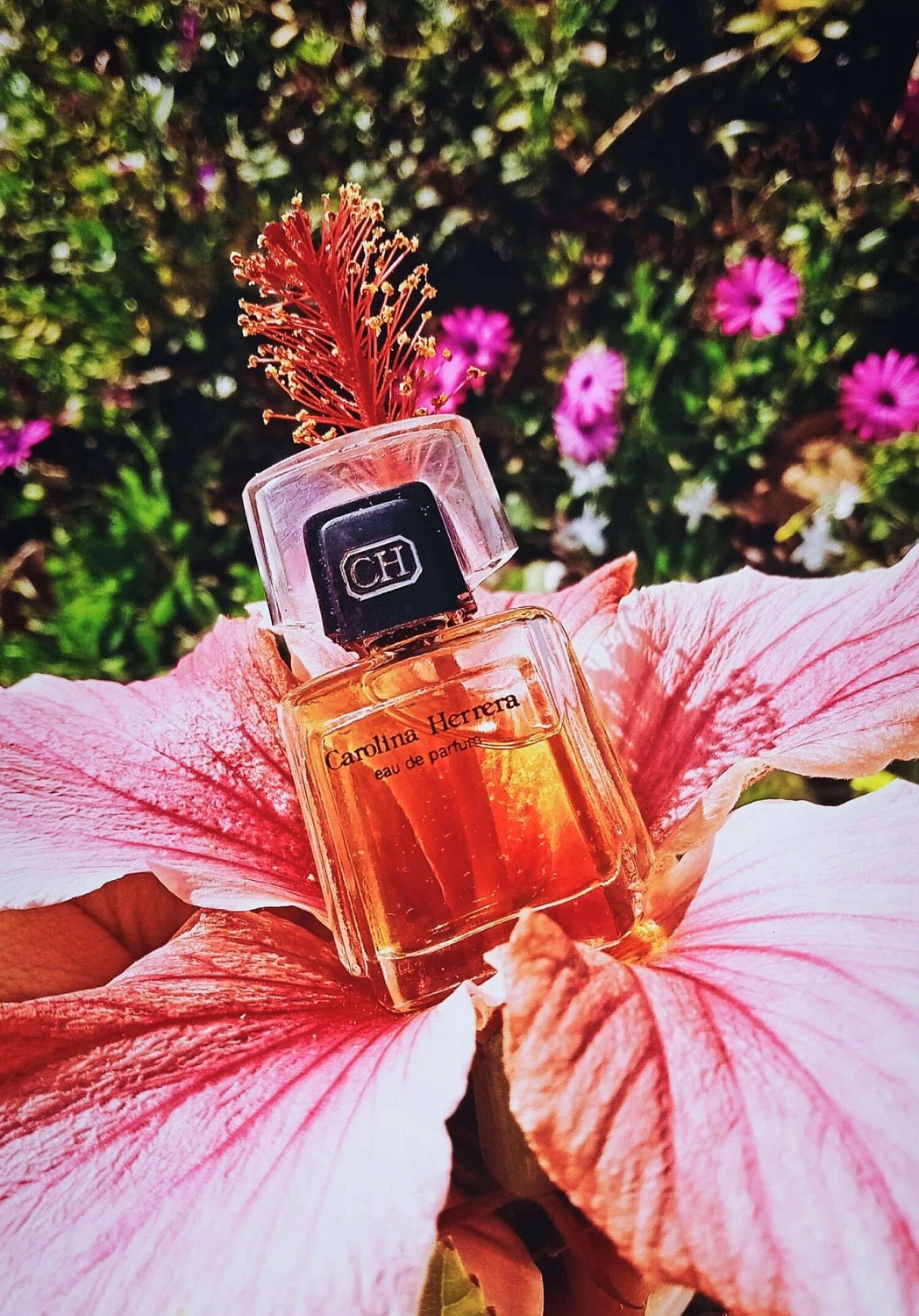 Carolina Herrera