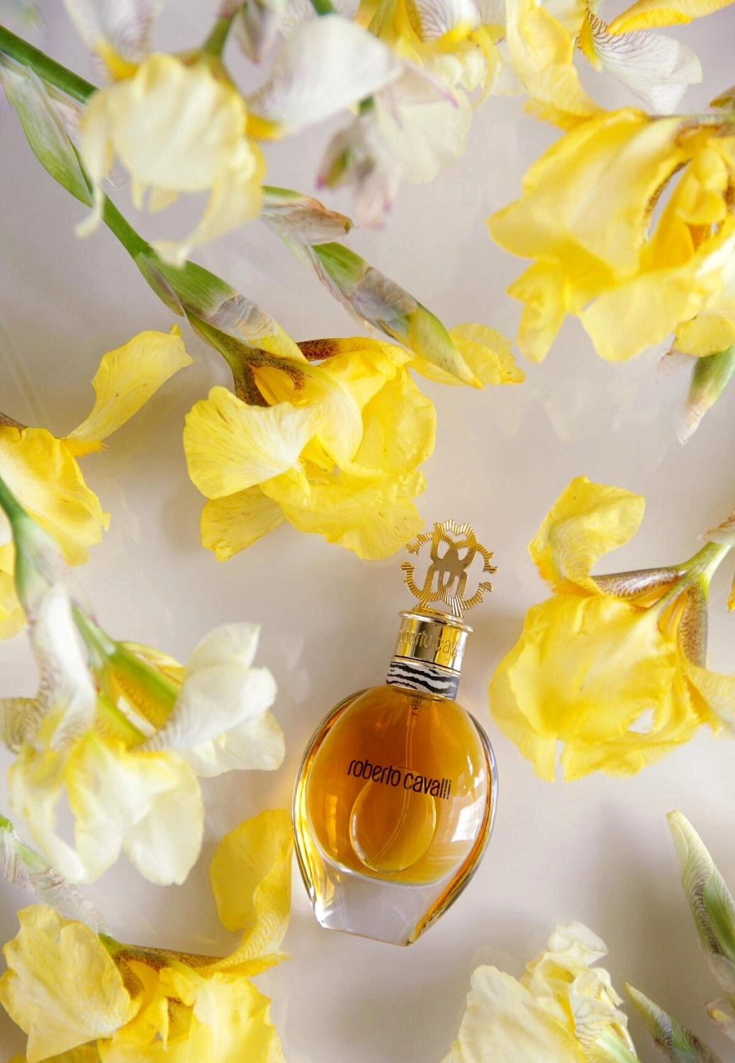 Roberto Cavalli Eau de Parfum 2012 (Signature)