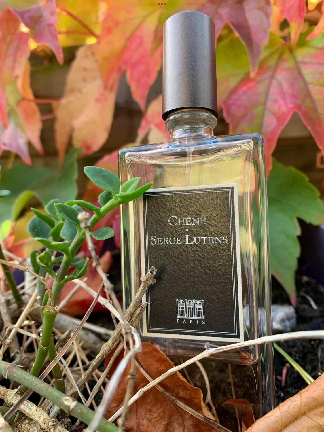 Serge Lutens Chene