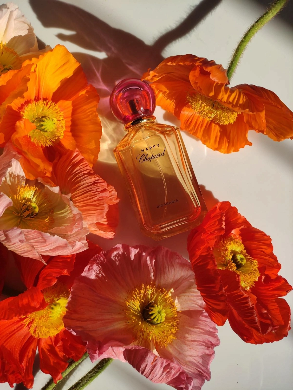 Happy Chopard Bigaradia