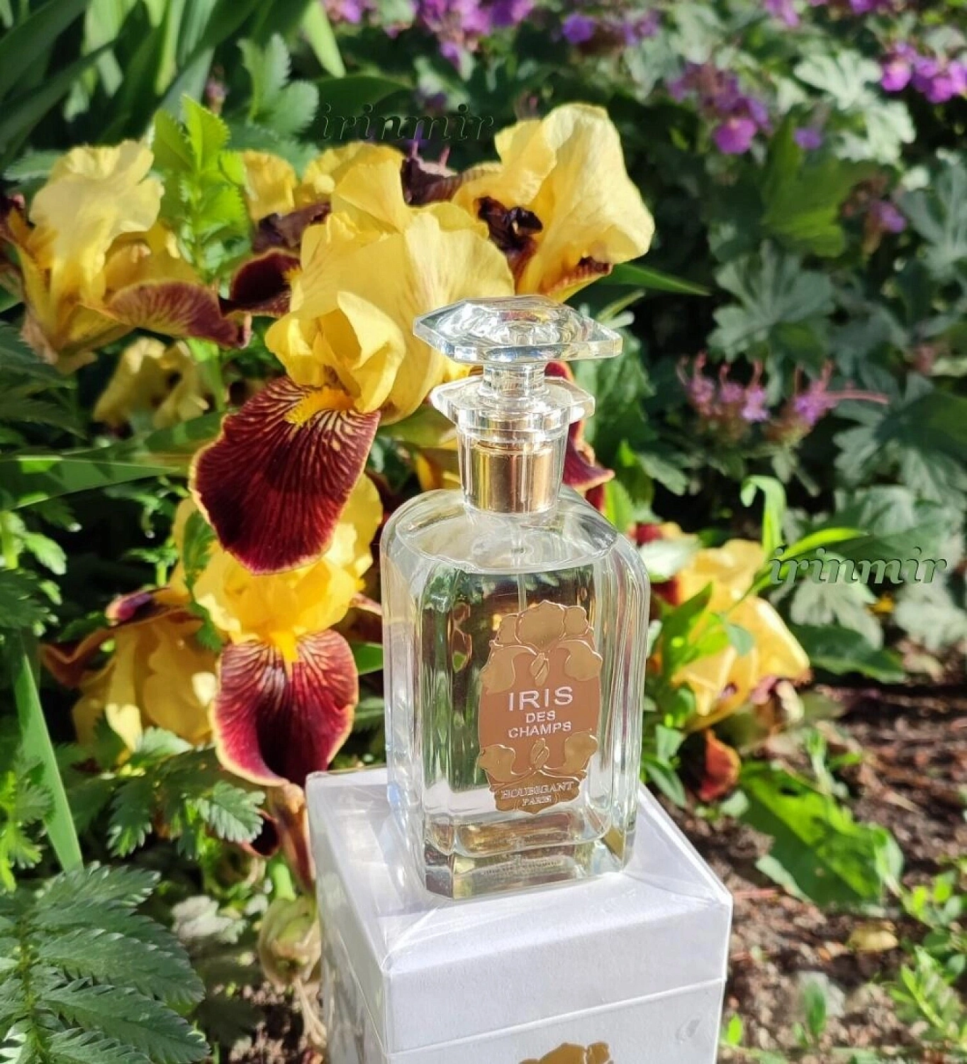 Houbigant Iris des Champs