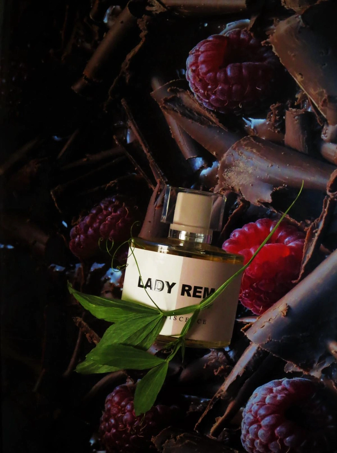 Reminiscence Lady Rem