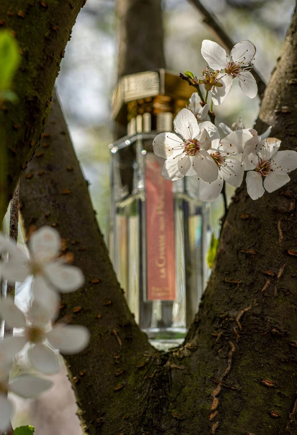L'Artisan Parfumeur La Chasse Aux Papillons
