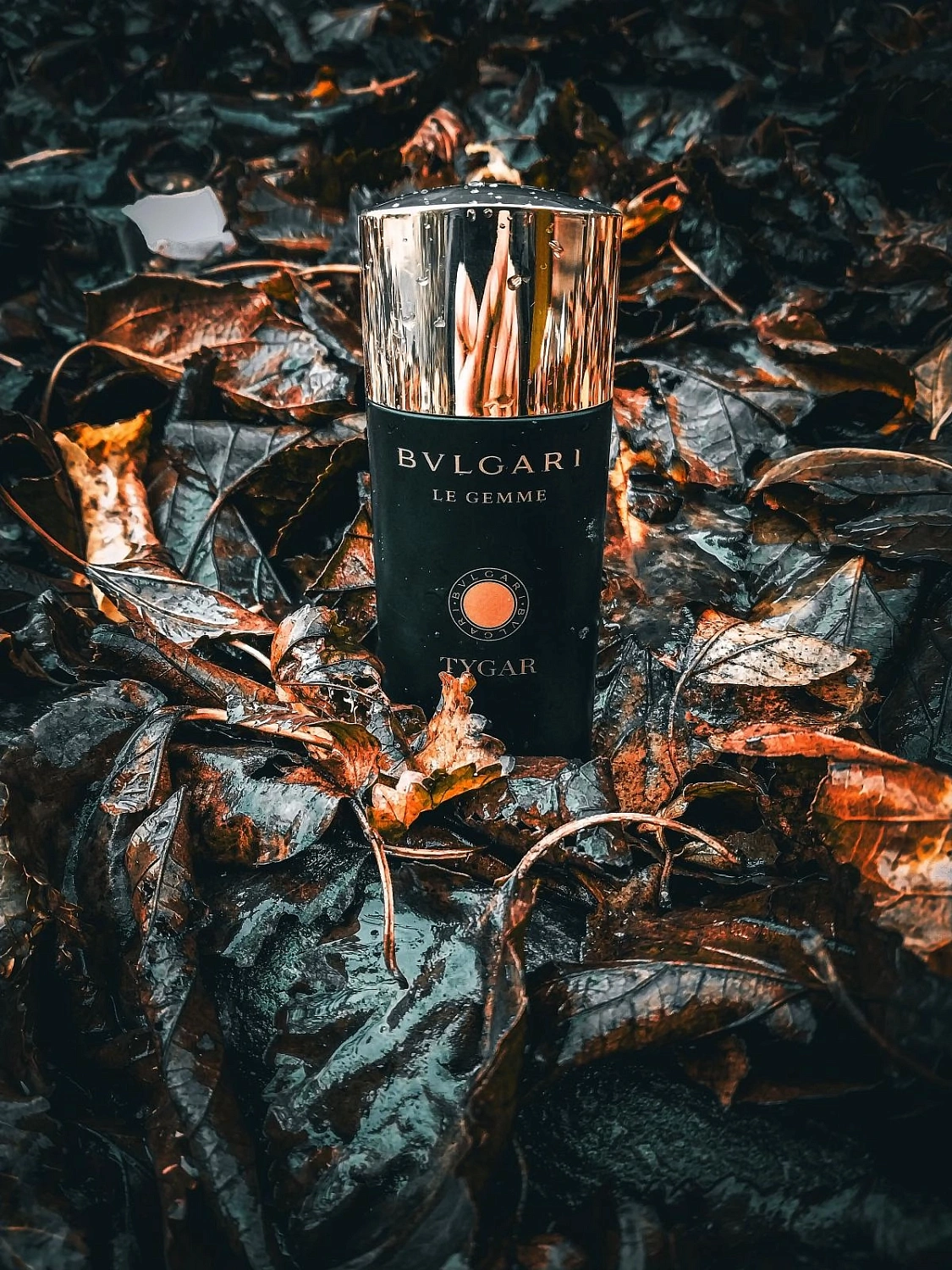 Bvlgari Tygar