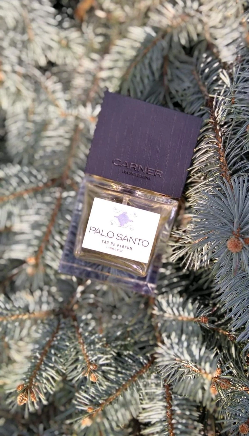 Carner Barcelona Palo Santo