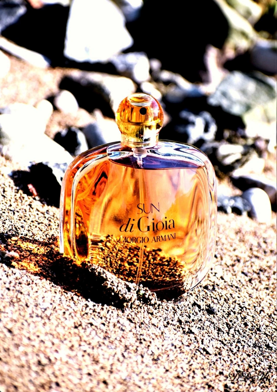 Armani Sun di Gioia