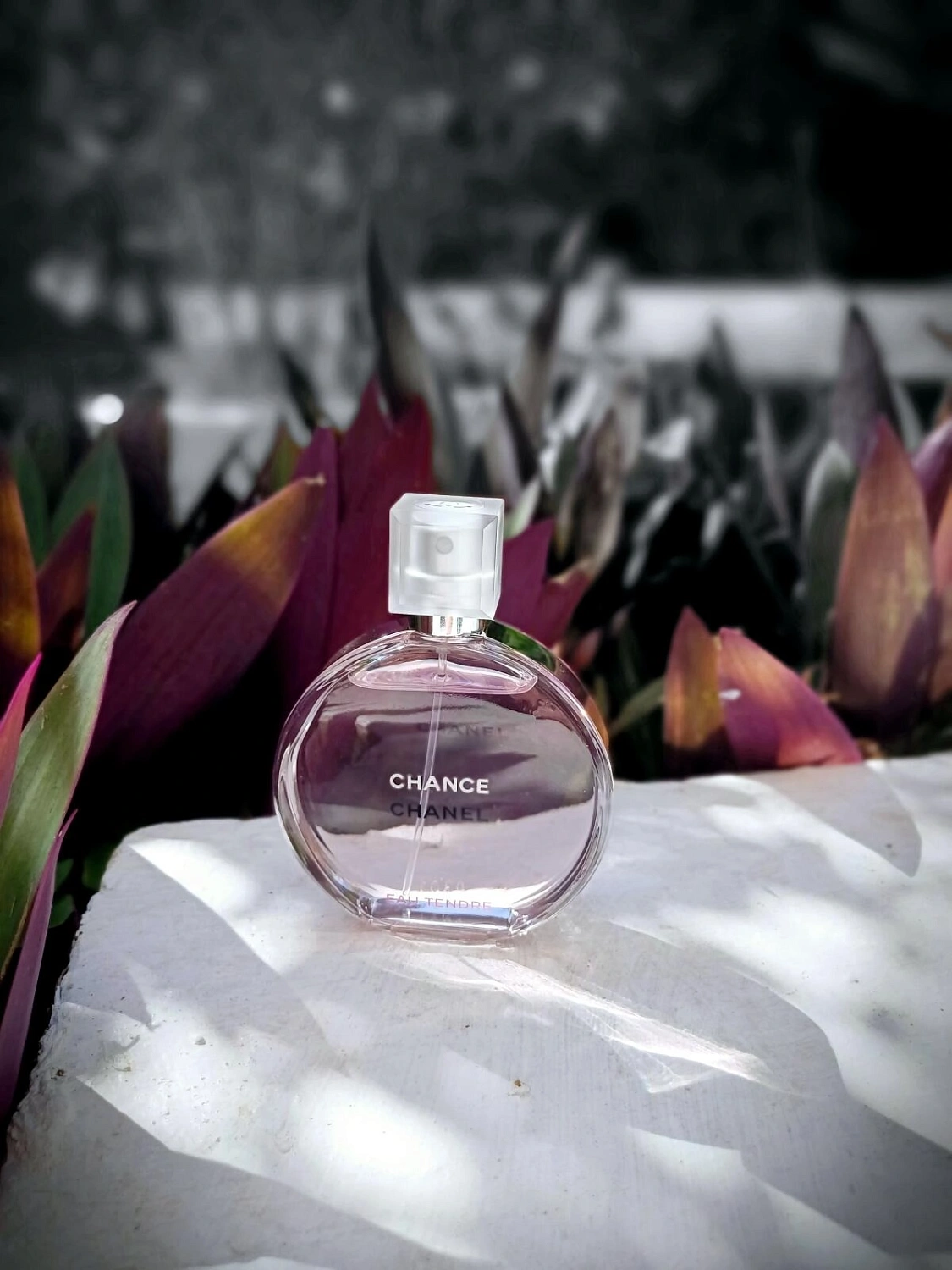 Chanel Chance Eau Tendre