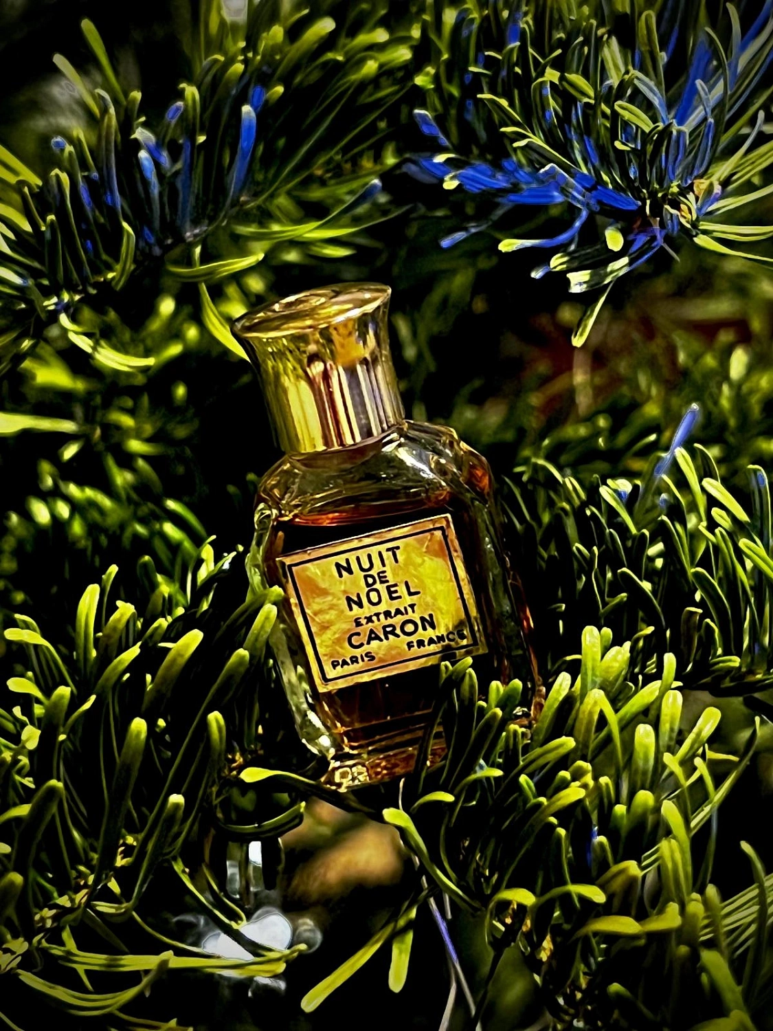 Caron Nuit de Noel