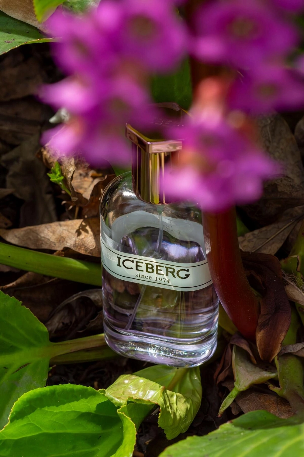 Iceberg Since 1974 for Her