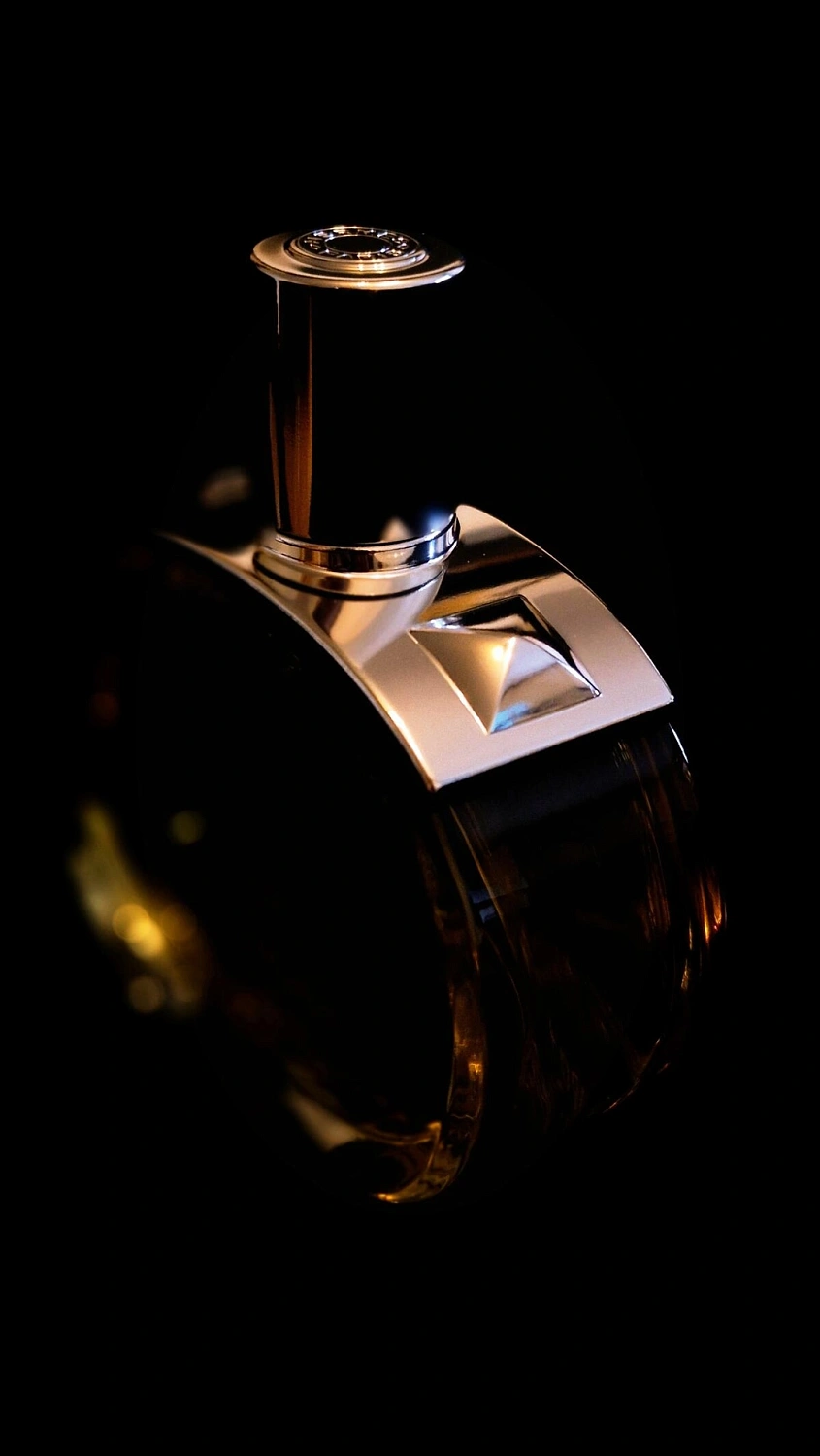 Hermès Barenia Intense