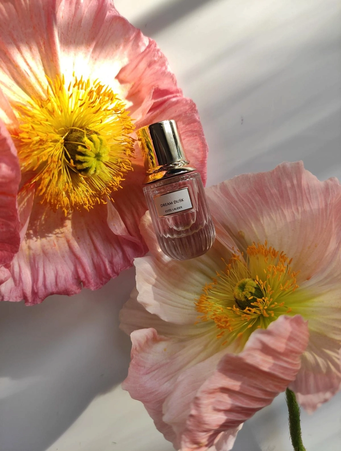 Estée Lauder Dream Dusk