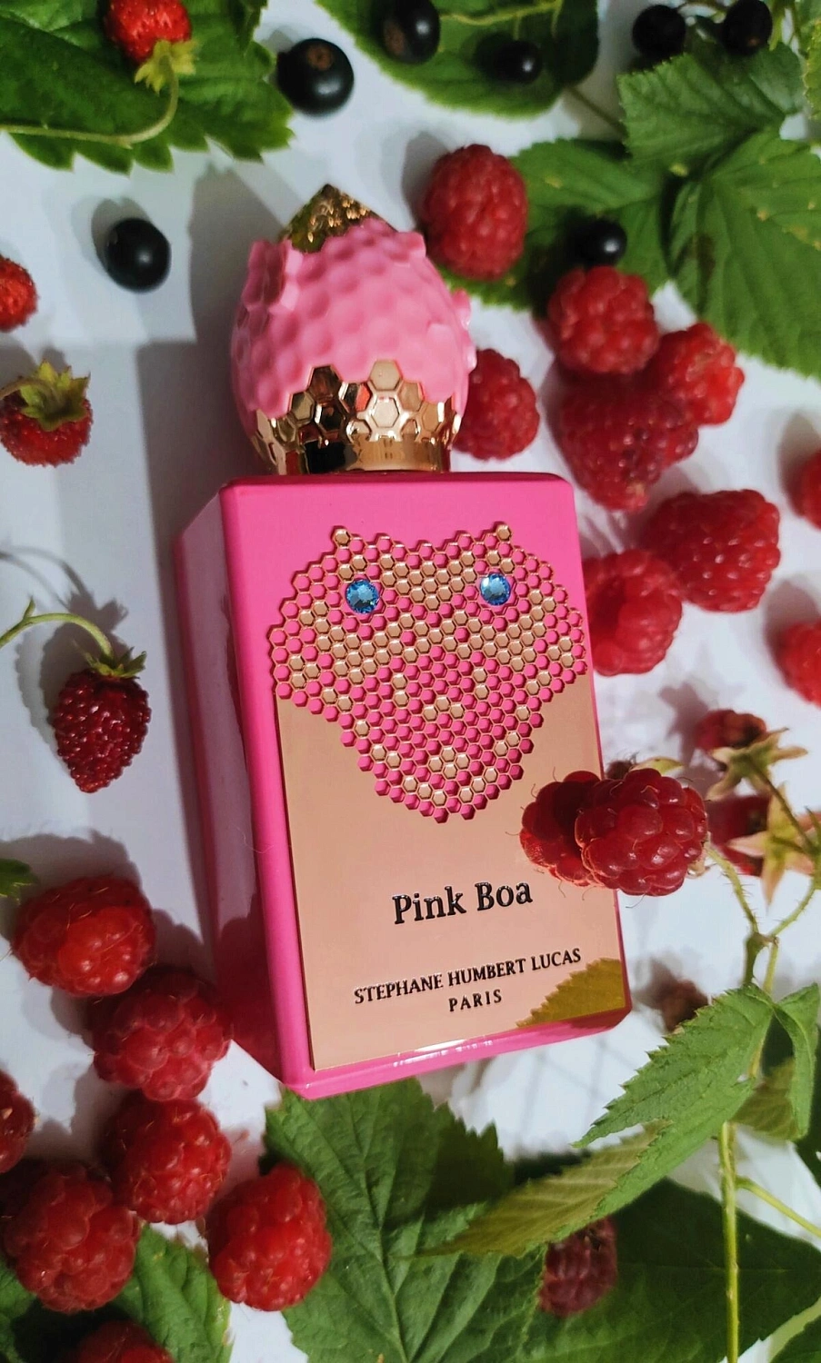 Stéphane Humbert Lucas 777 Pink Boa