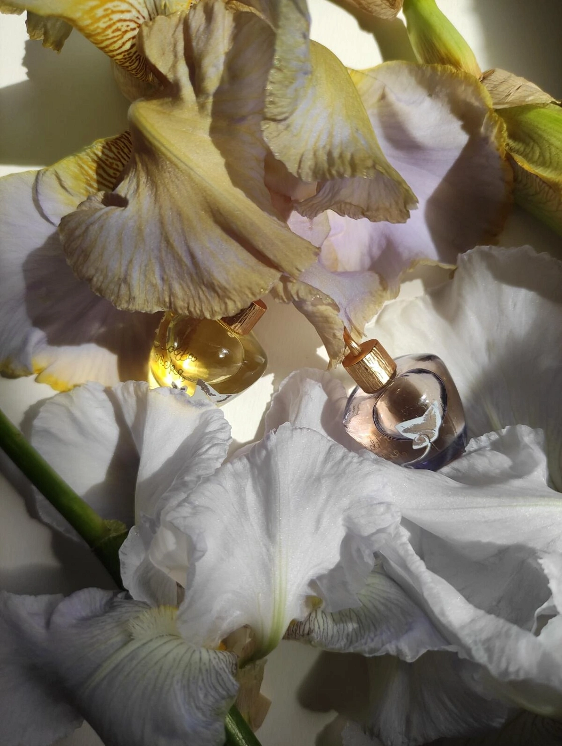 Lolita Lempicka