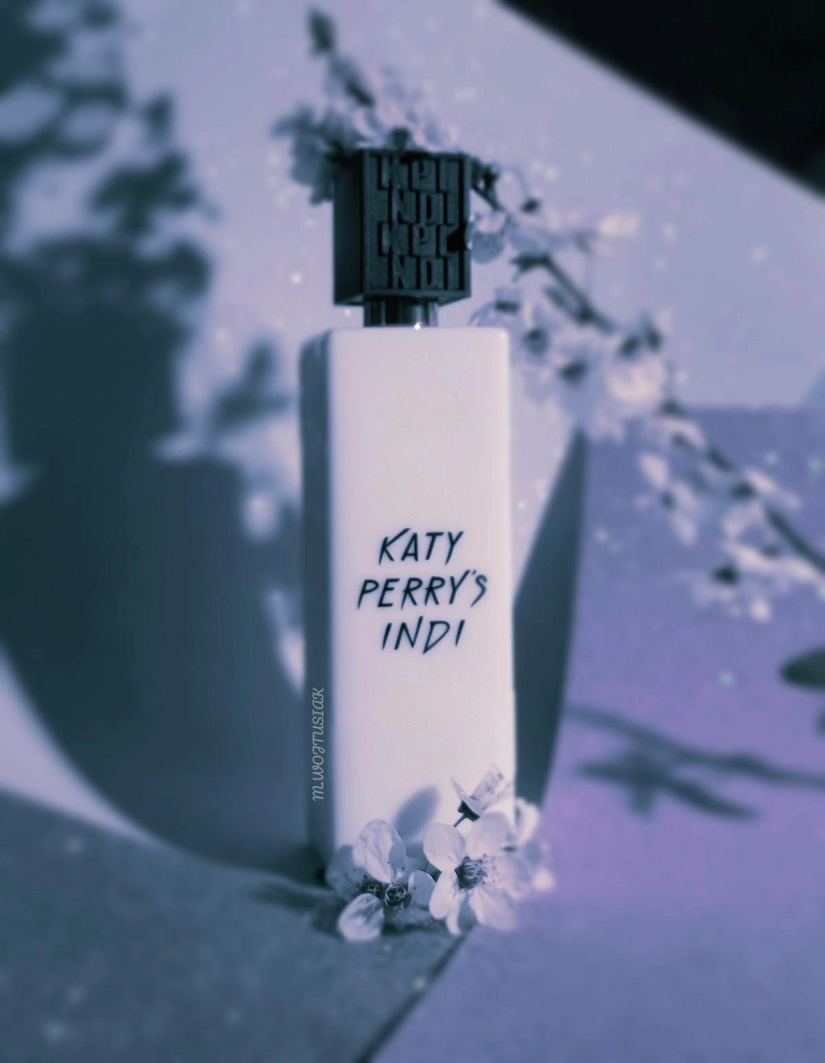 Katy Perry's Indi