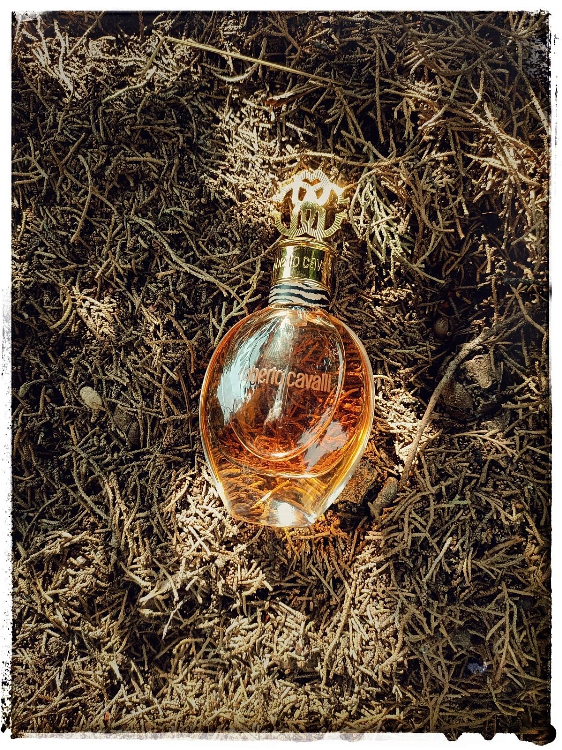 Roberto Cavalli Eau de Parfum 2012 (Signature)