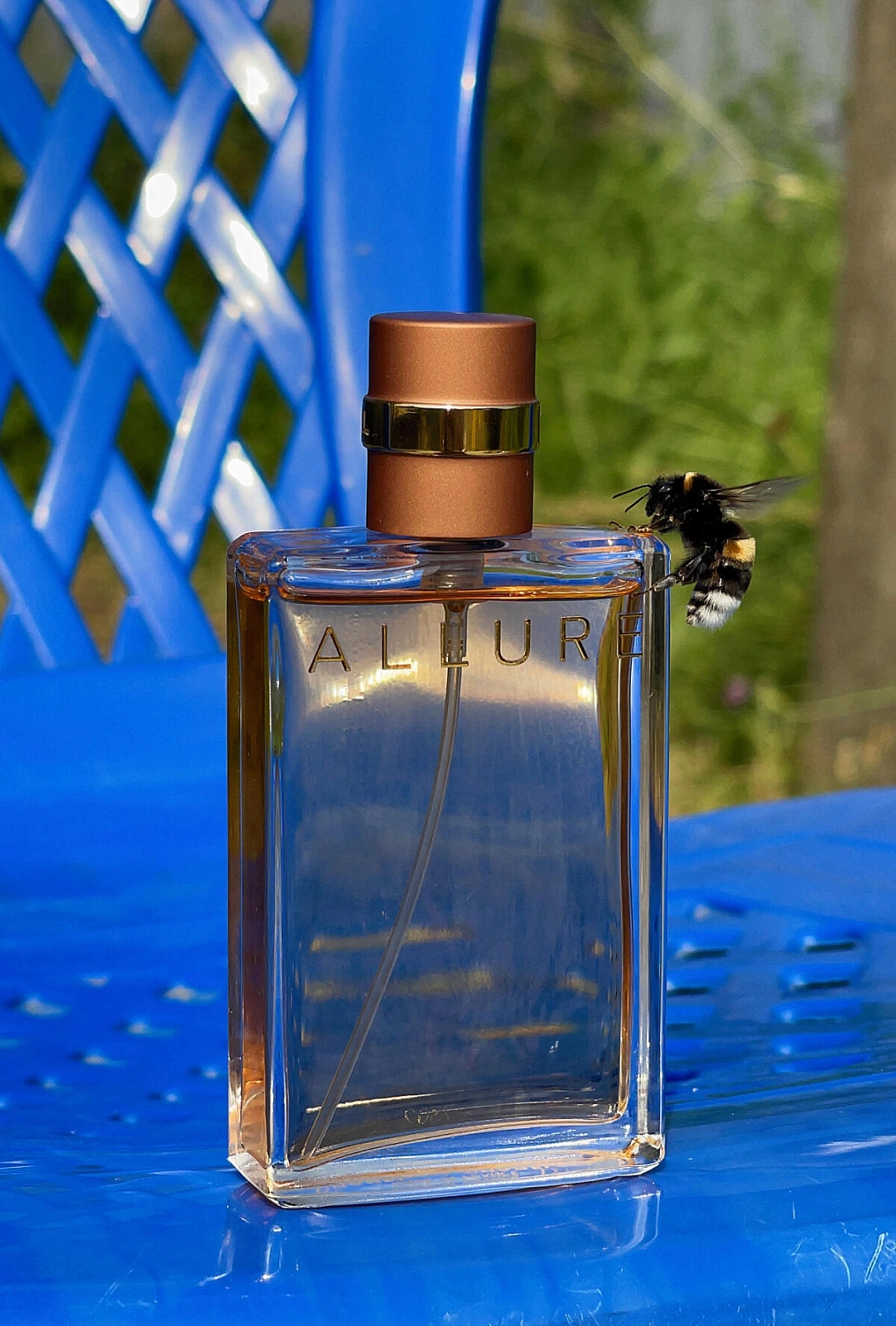Chanel Allure Eau de Parfum