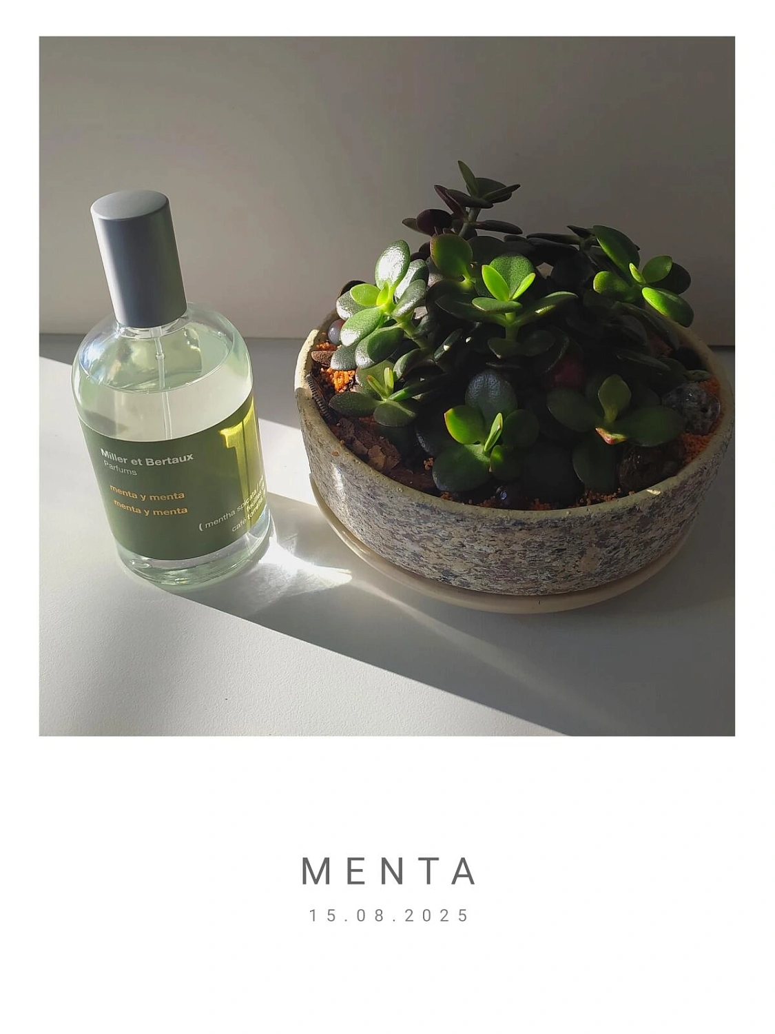 Miller et Bertaux Menta y Menta