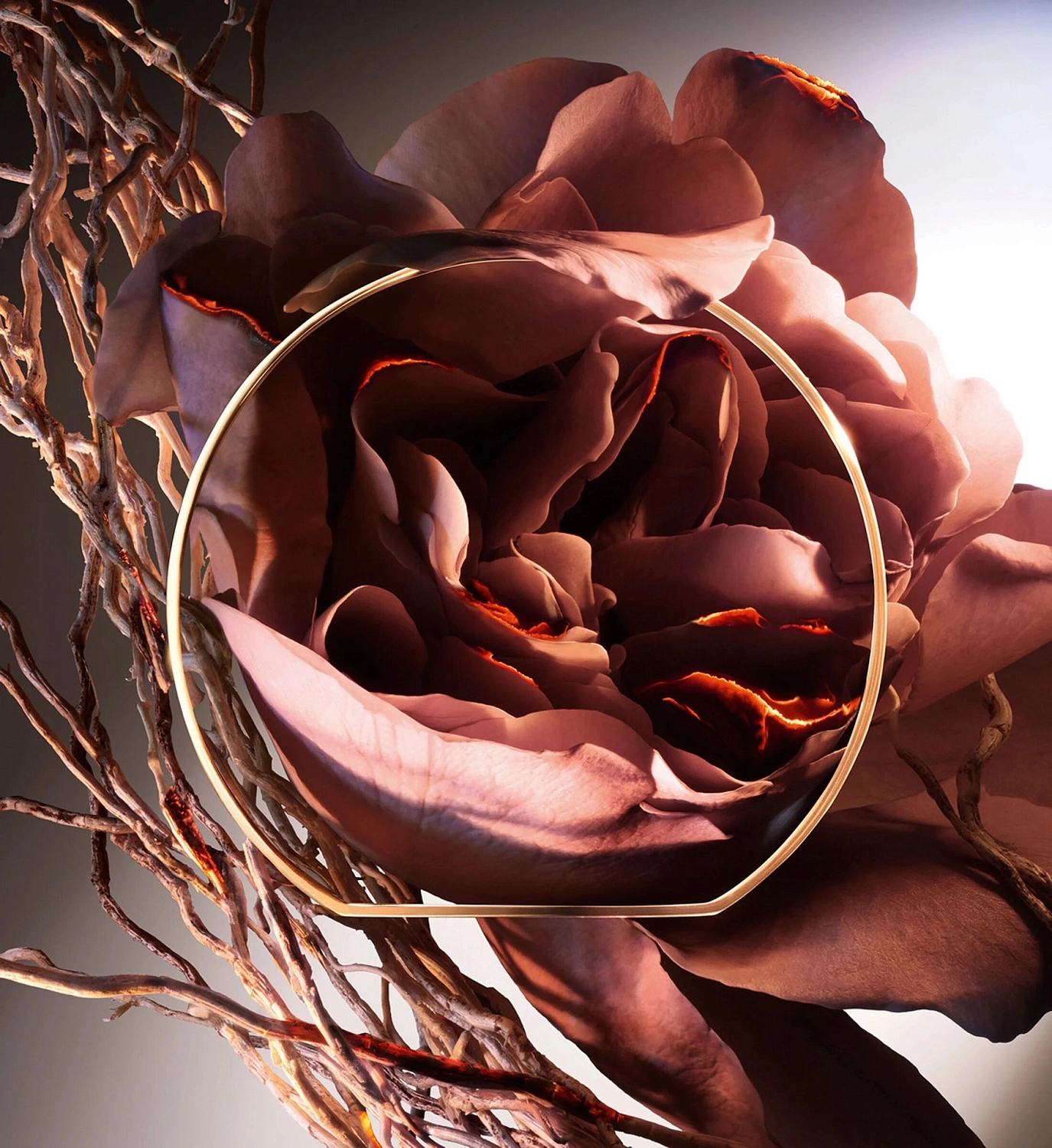 Lancôme Absolue Hell Of A Rose