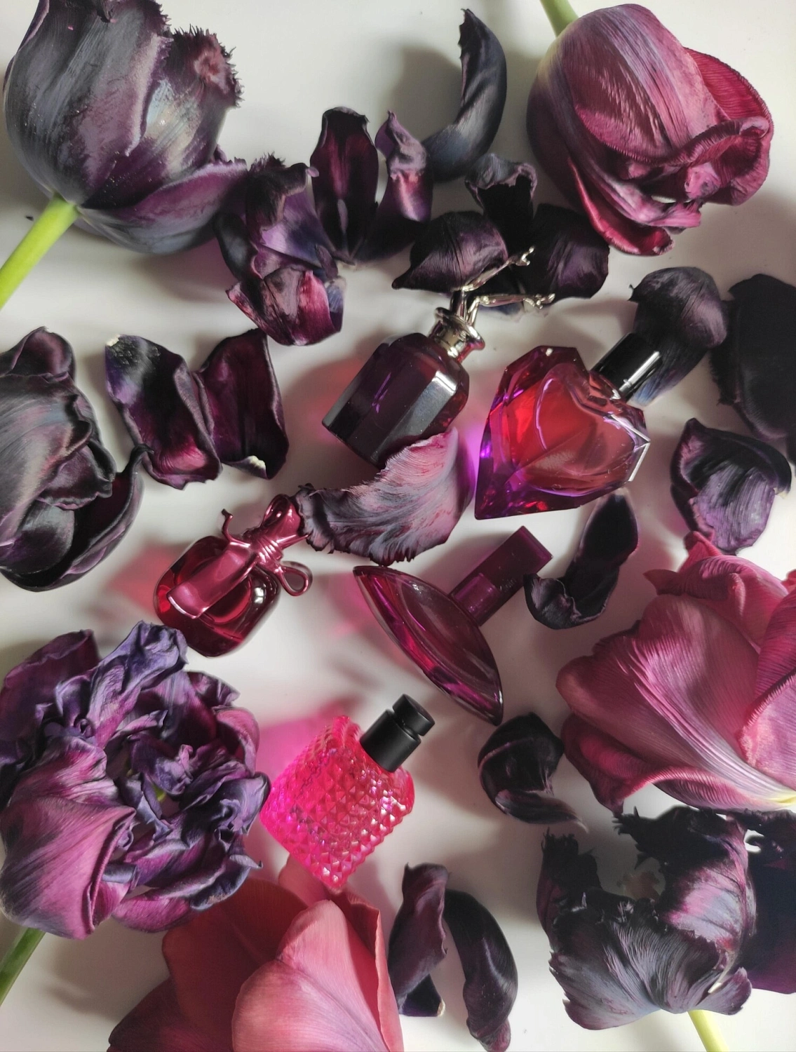 Valentino Donna Born In Roma Extradose