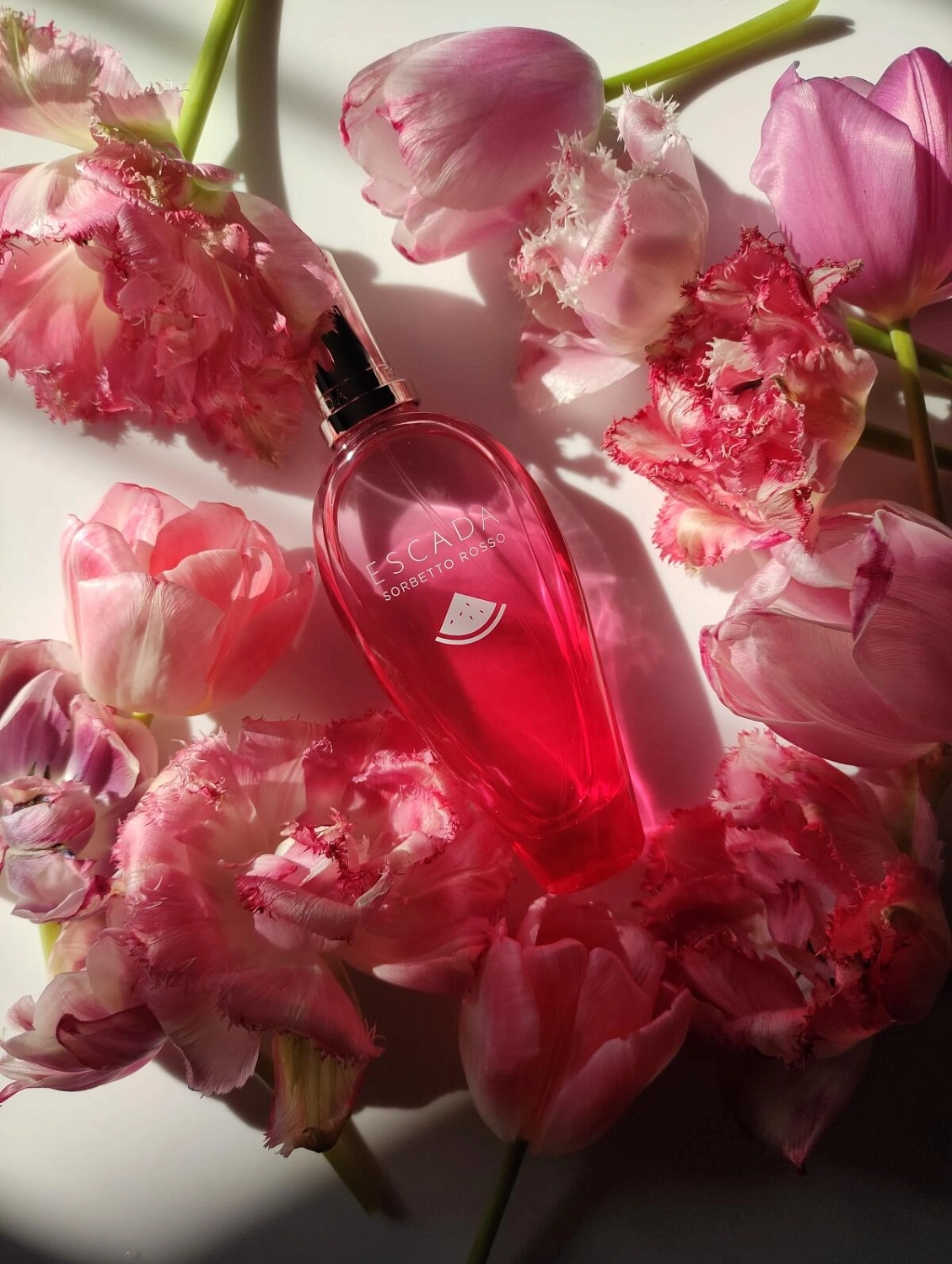 Escada Sorbetto Rosso