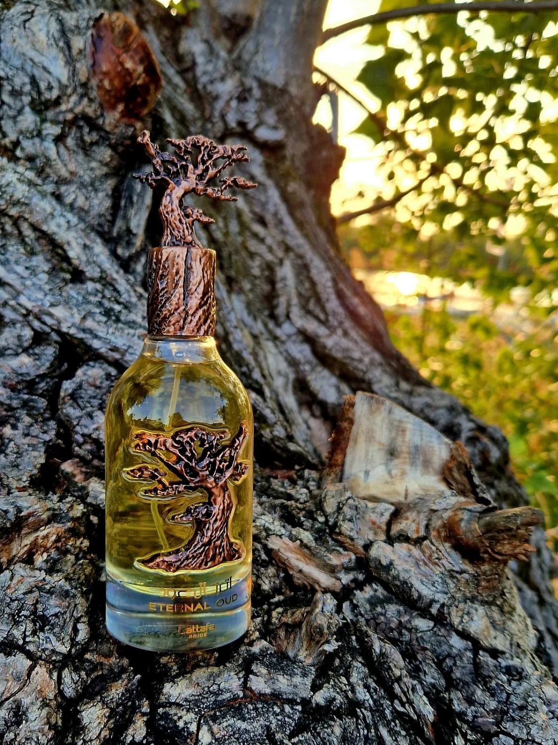 Lattafa Eternal Oud