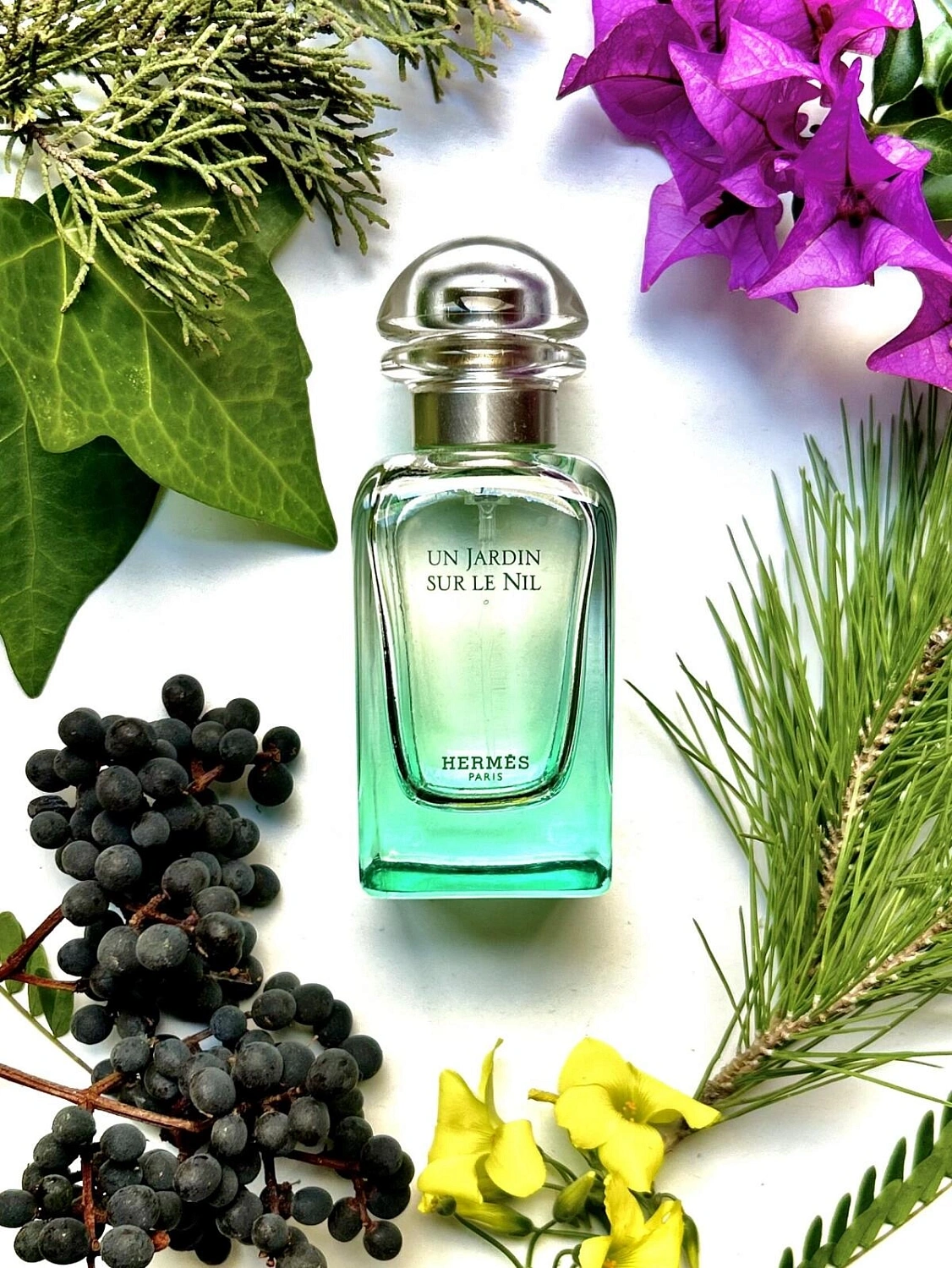 Hermès Un Jardin sur le Nil