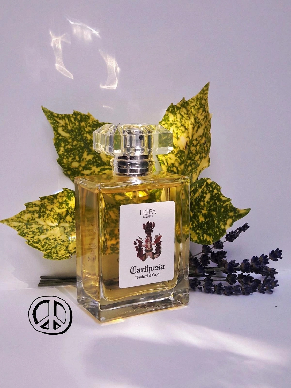 Carthusia Ligea La Sirena