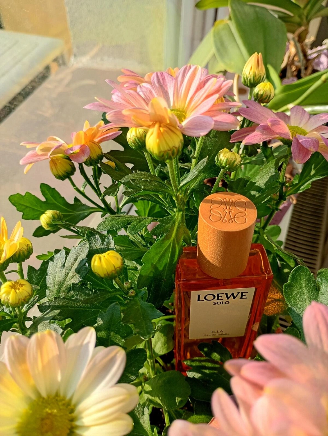 Solo Loewe Ella Eau de Toilette