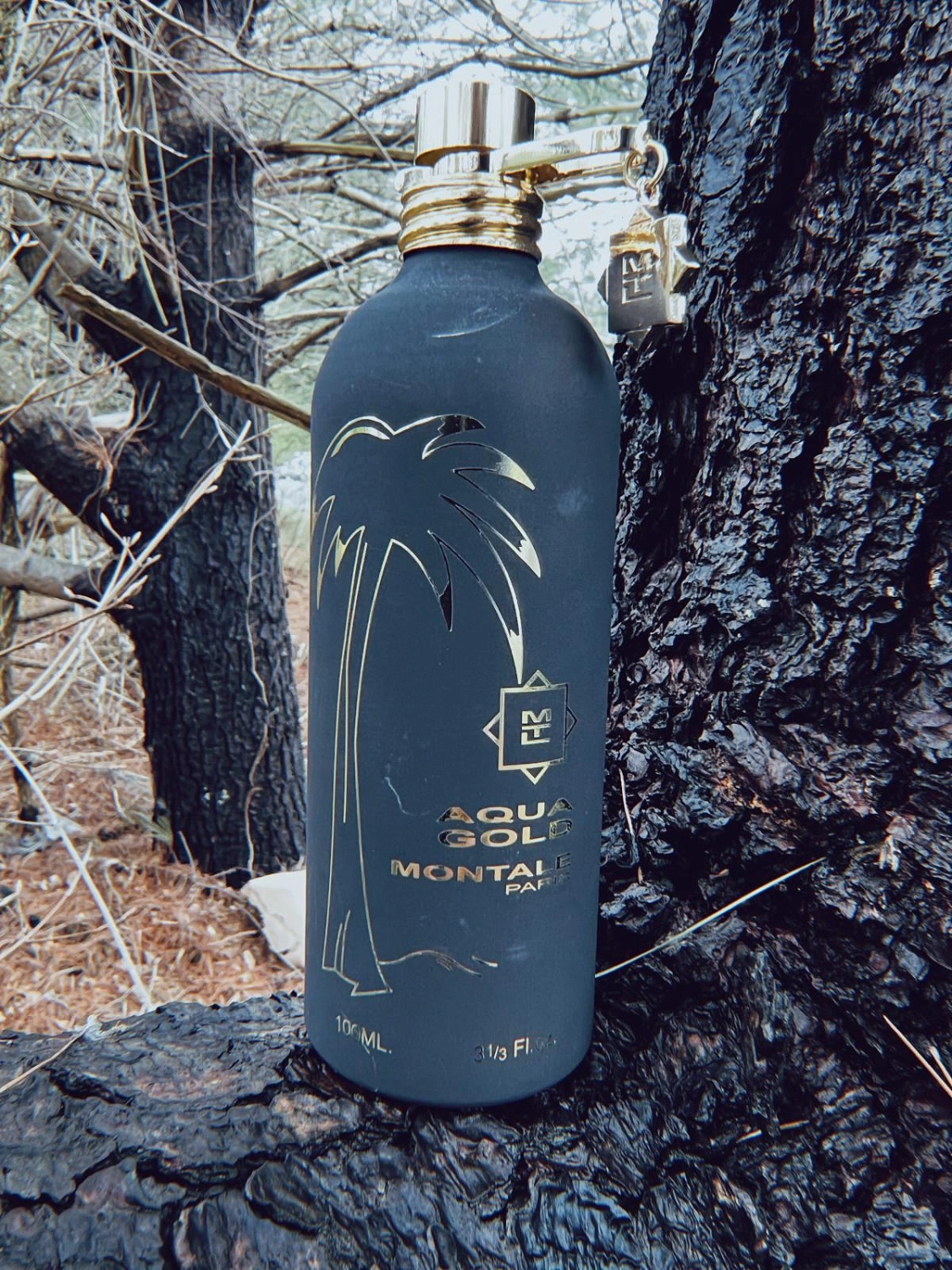 Montale Aqua Gold