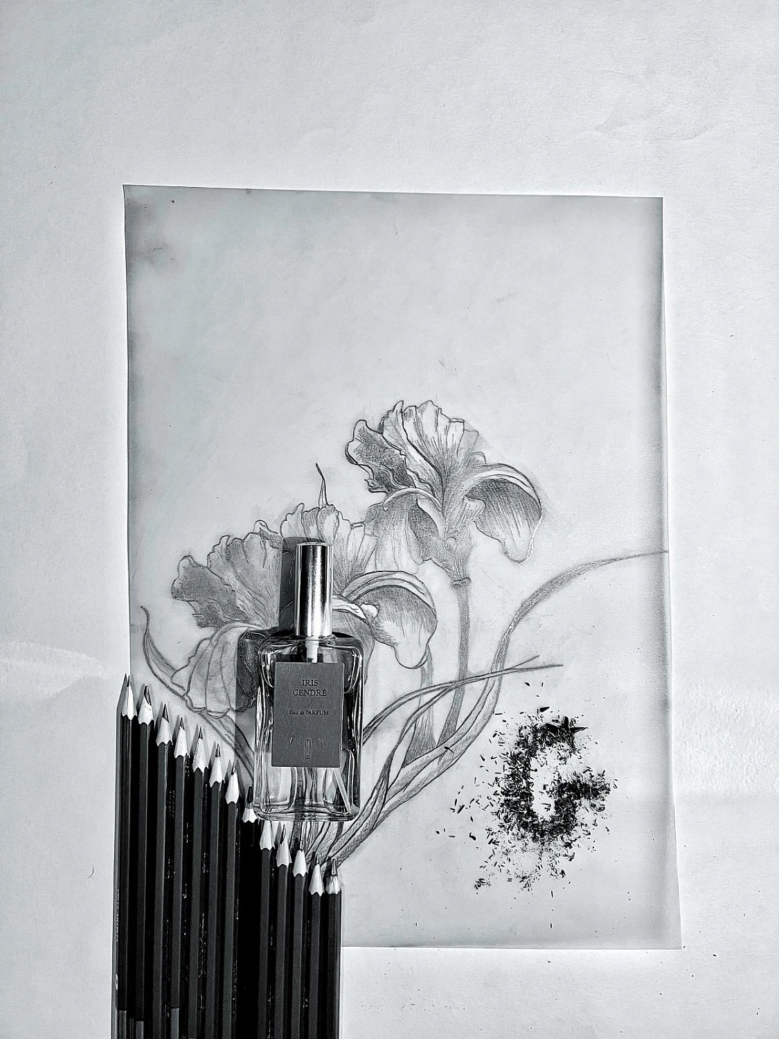 Naomi Goodsir Iris Cendre