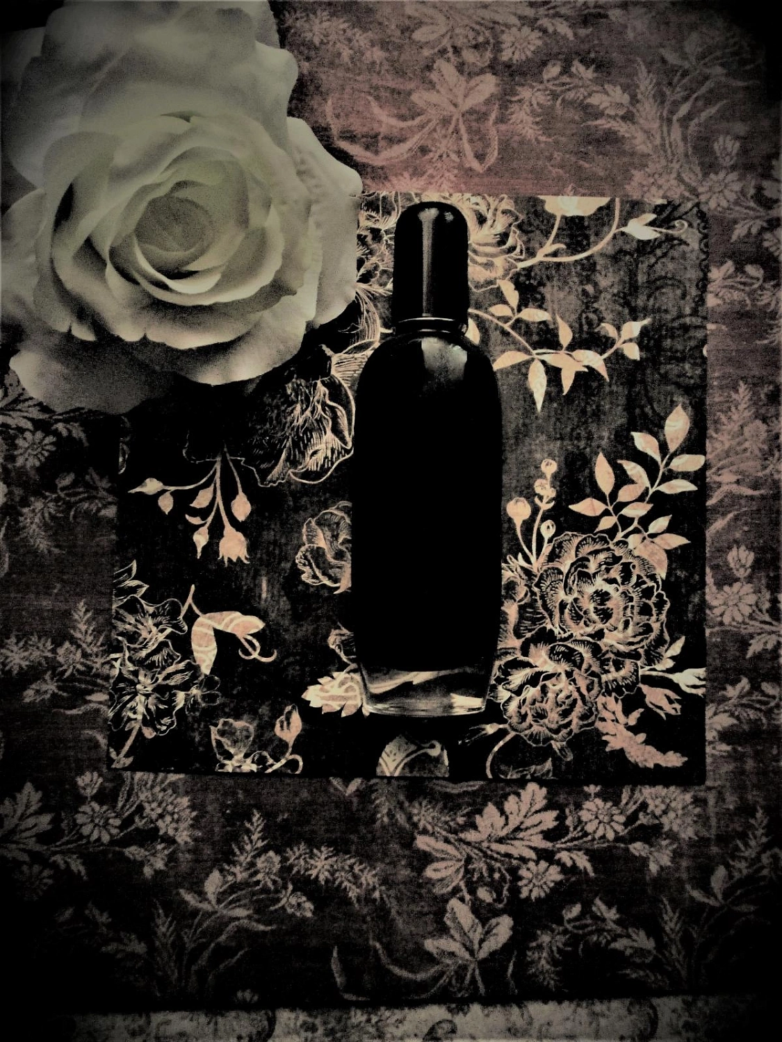 Clinique Aromatics in Black