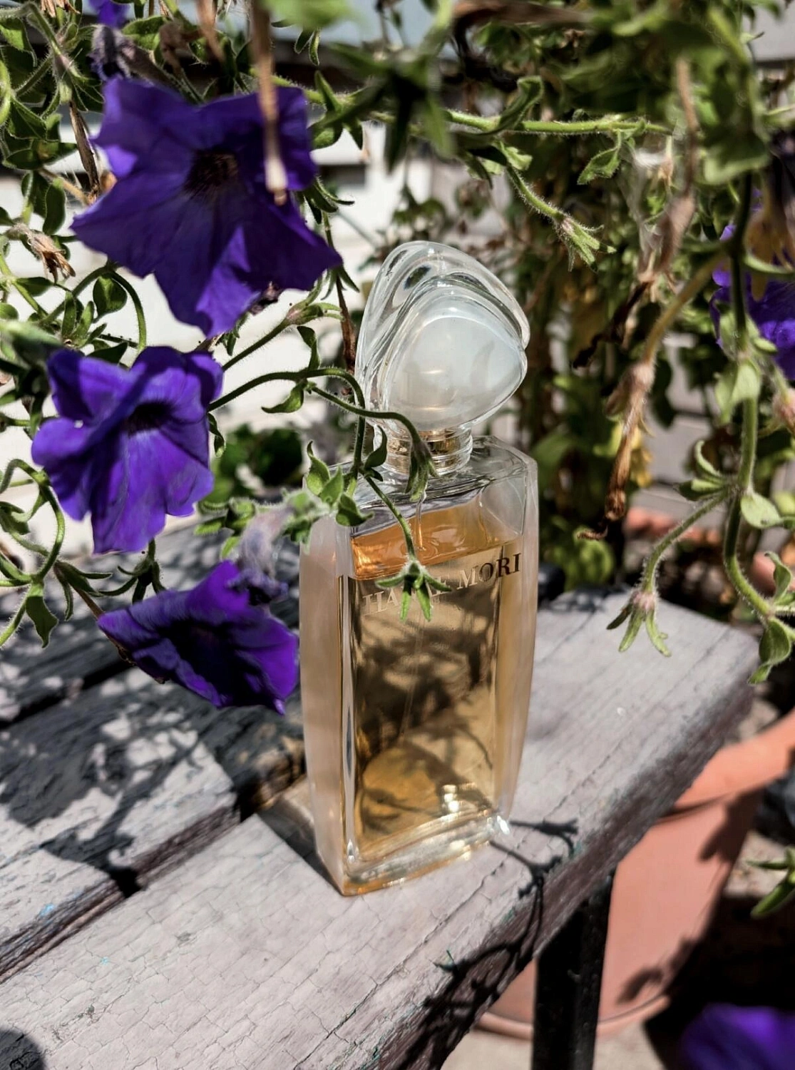 Hanae Mori