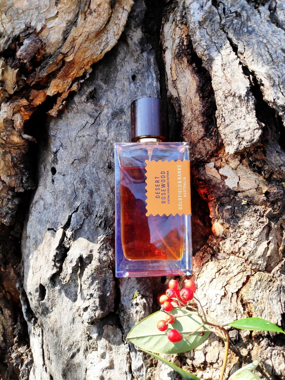 Goldfield & Banks Australia Desert Rosewood