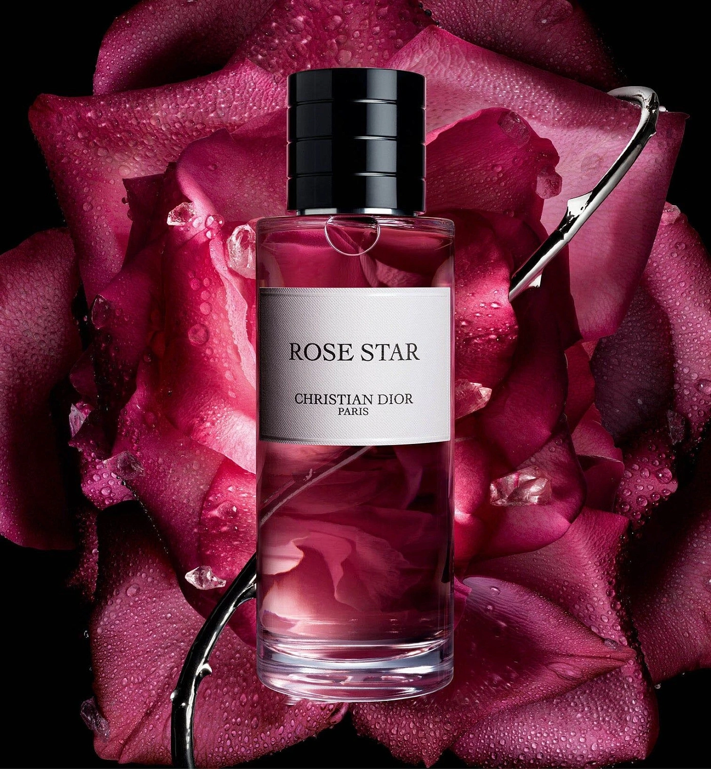 Christian Dior Rose Star