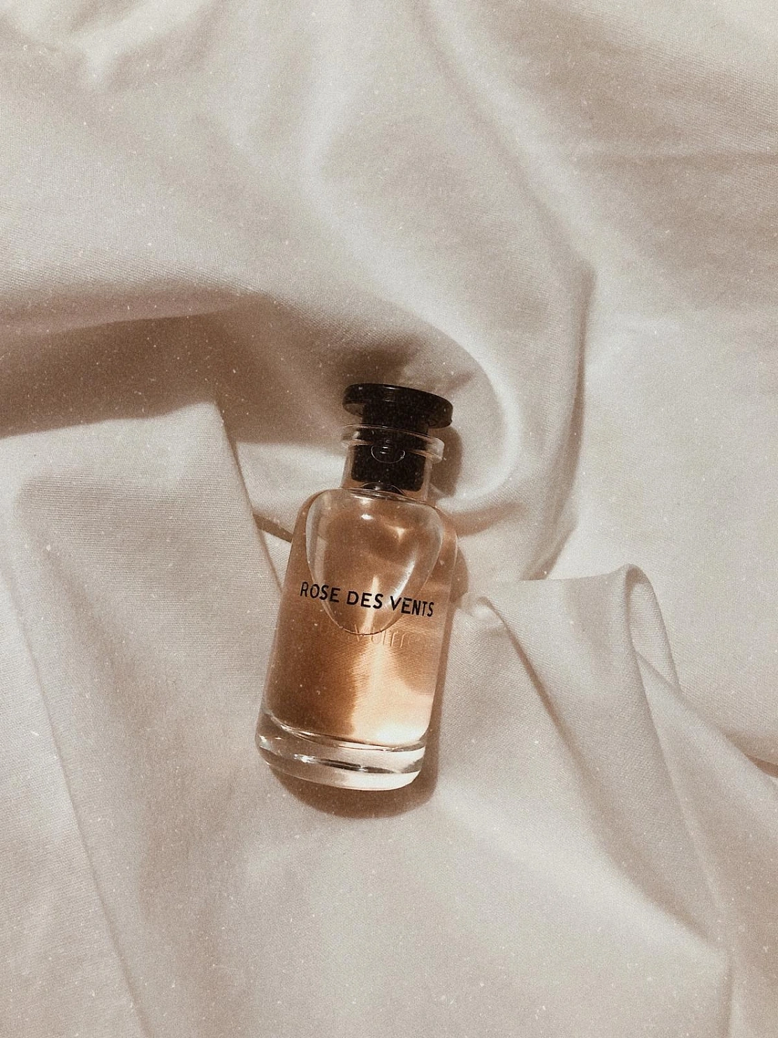 Louis Vuitton Rose Des Vents