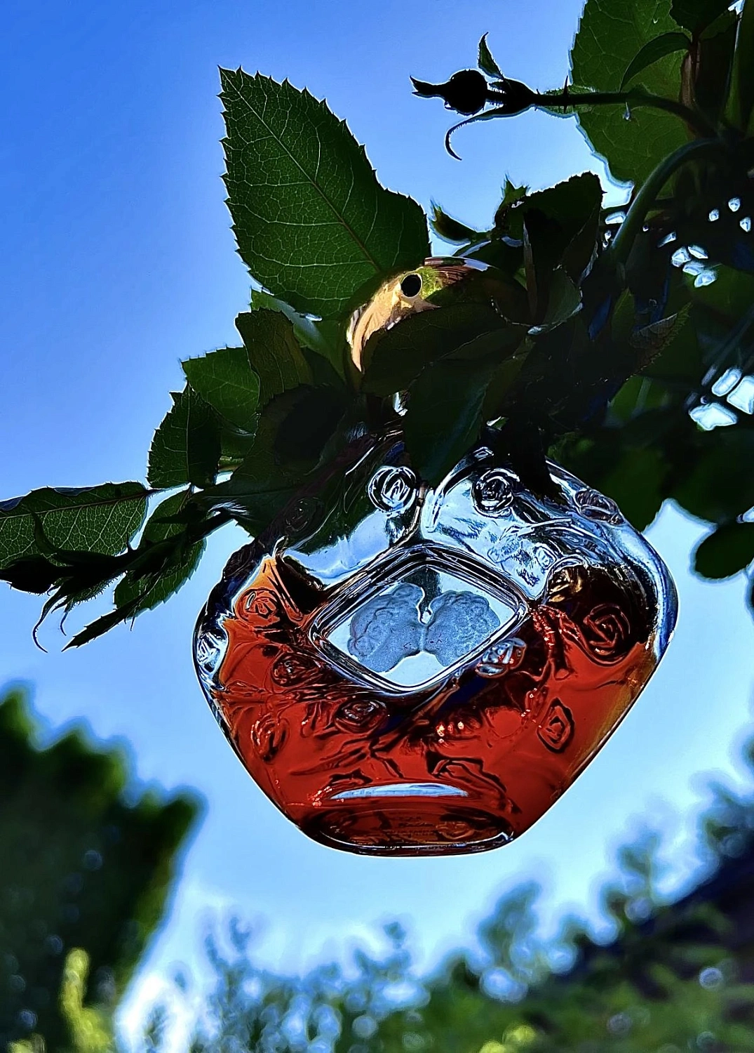 Lalique Le Baiser