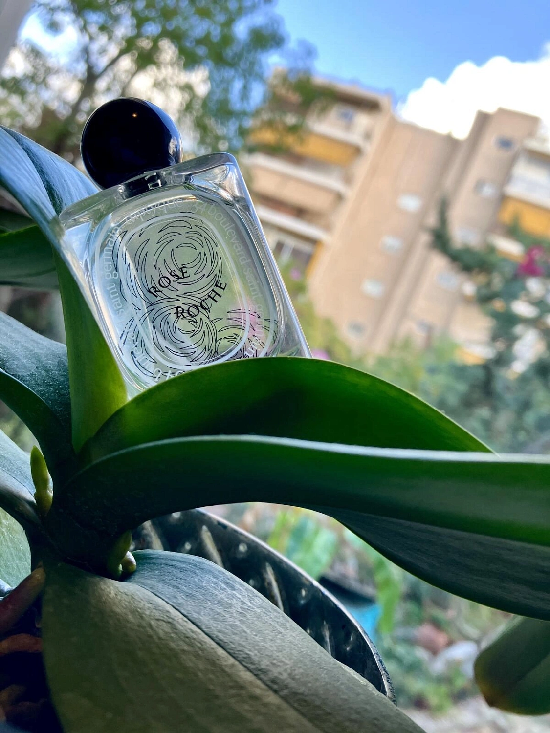 Diptyque Rose Roche