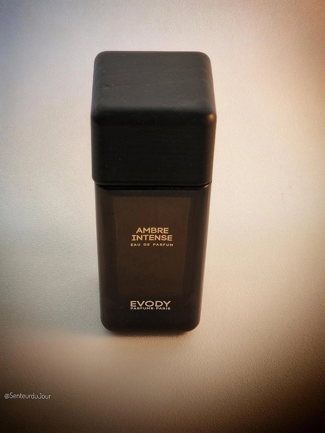 Evody Ambre Intense