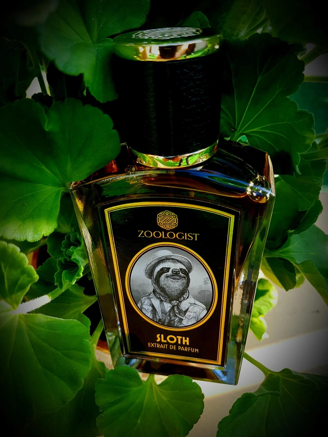 Zoologist Perfumes Sloth
