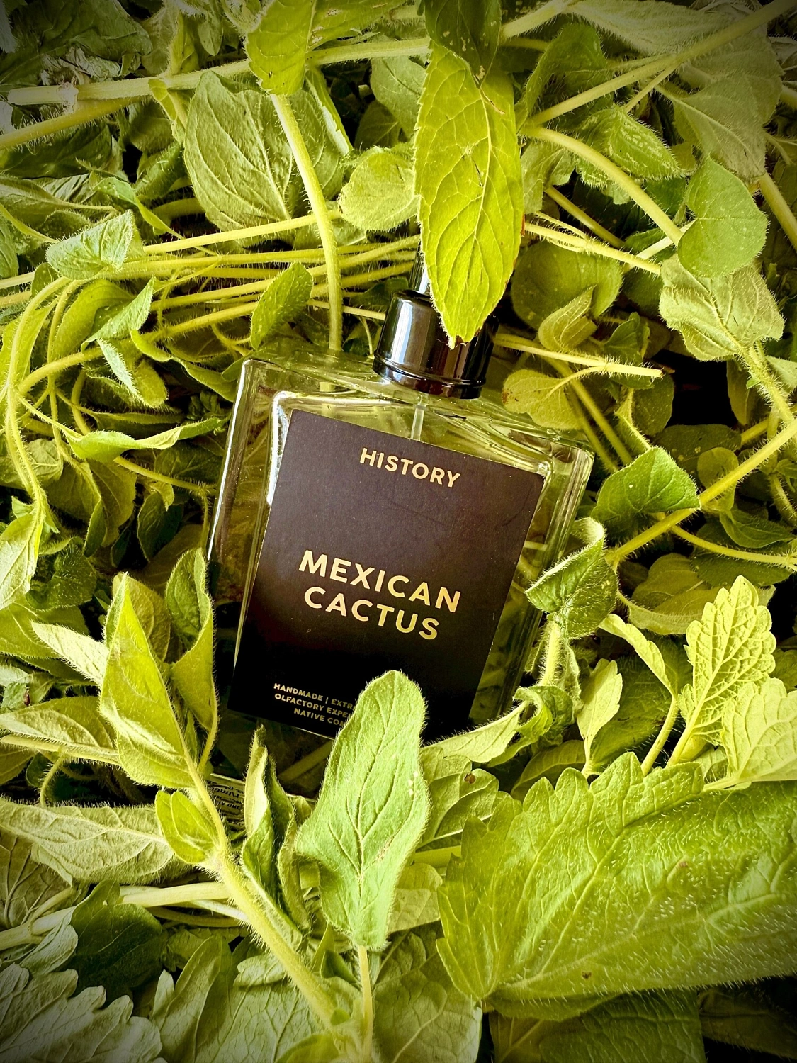 History Parfums Mexican Cactus